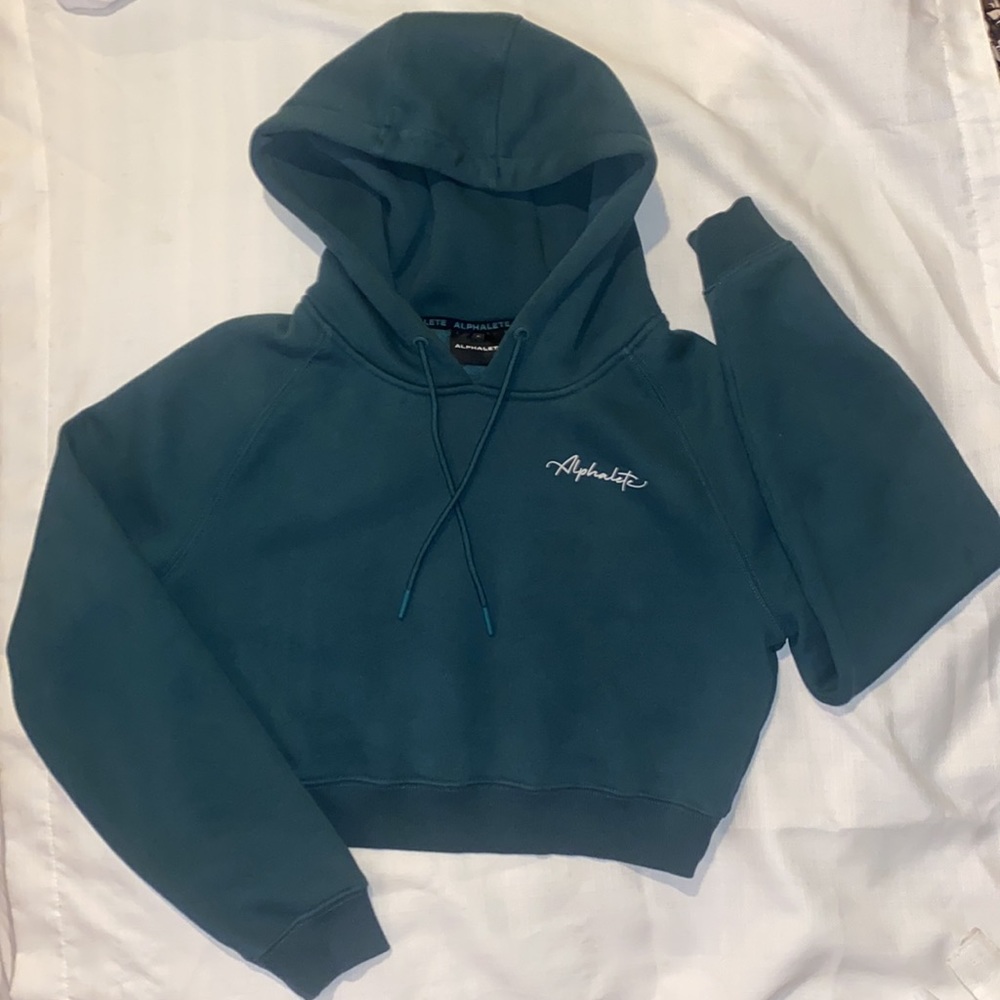 Alphalete Cropped Hoodie